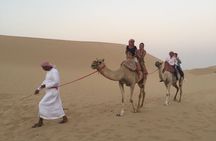 Abu Dhabi Morning Desert Safari