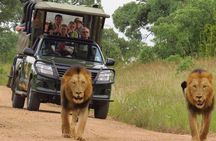Kruger National Park sunrise Morning Private safari