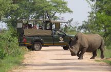 Kruger National Park sunrise Morning Private safari