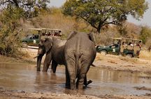 Kruger National Park sunrise Morning Private safari