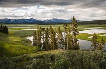 Private Full-Day Yellowstone National Park Tour