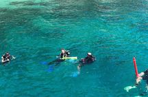 Scuba Diving Tour in Cham Island for certified divers or Beginners