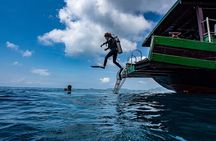 Scuba Diving Tour in Cham Island for certified divers or Beginners