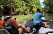 Mangrove Boat 