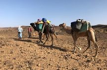 4 Day Private Desert Trek from M'Hamid to Chegaga