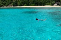 Reef Safari - Snorkeling, Fish Feeding & Lunch (Shared Day Trip)