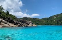 Reef Safari - Snorkeling, Fish Feeding & Lunch (Shared Day Trip)