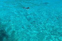 Reef Safari - Snorkeling, Fish Feeding & Lunch (Shared Day Trip)