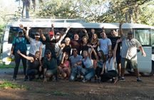  Premium Tour: Rincón de la Vieja Volcano and Waterfall Hiking