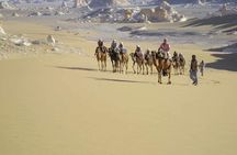 Hurghada, Red Sea sunset desert safari trip by quad bike