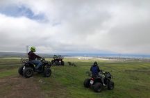 ATV, horse riding on the beach & Paintball tour