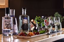 Gin tasting experience in Athens