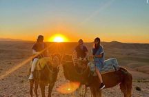 Sunset Dinner & Camel Ride in Agafay desert 
