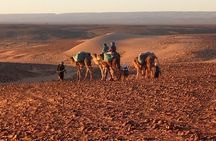 4 Day Private Desert Trek from M'Hamid to Chegaga
