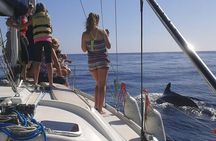 South Coast Tenerife Cruise