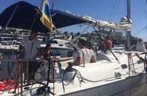 South Coast Tenerife Cruise