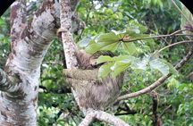 Arenal Volcano National Park Guided Hike