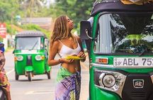 Budget Tour Operators in Sri Lanka 6 Days Tour H/B accommodations