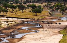  5 Days Tanzania Safari Great Wildebeest Migration 
