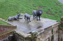 Ultimate Royal London: Tower of London & City of Westminster Tour