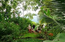 Private Tour to Zopango Island with fish Lunch, swim & kayak