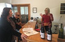 Private Wairarapa Wine Delights Tour from Wellington
