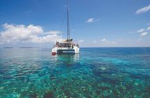 Catamaran Crystal Sea Cruise from Protaras