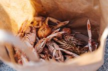 Private Fishing and Sailing Adventure in Sithonia