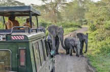 3 Days Serengeti Park & Ngorongoro Crater Adventure Safari