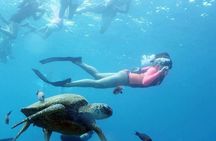 Full-Day Snorkeling Tour to Utopia Island from Luxor