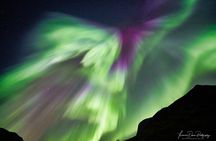 Minivan Northern Lights excursion (8 guests per minivan)