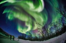 Minivan Northern Lights excursion (8 guests per minivan)