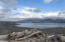 Scenic South Wairarapa Full Day Tour from Wellington