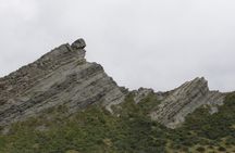 Scenic South Wairarapa Full Day Tour from Wellington