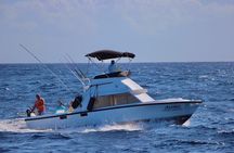 Private fishing charter Bertram 31ft 6 pax max if you don't fish you don't pay