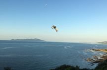 7-Hour Private Scenic Kapiti Coast Tour from Wellington