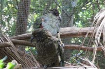 7-Hour Private Scenic Kapiti Coast Tour from Wellington