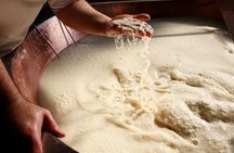 Parmigiano Reggiano & Balsamic Vinegar Private Tour and Tasting