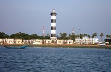 Birds & Beyond: Chennai to Pulicat Bird Sanctuary Day Tour