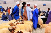 2 Day Desert Tour From Marrakech through the Atlas Mountains & Camel ride