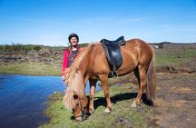 Icelandic Horse Riding and Whale Watching Tour from Reykjavik