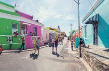 Cape of Good Hope, Table Mountain & Penguins Private Tour from Cape Town