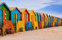 Cape of Good Hope, Table Mountain & Penguins Private Tour from Cape Town