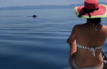 Halkidiki: Athos and Sithonia islands Cruise