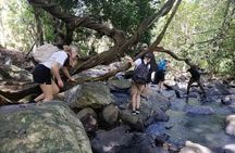 Trekking Knuckles Mountain Range Excursion (4 Days, 3 Nights)