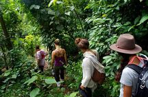 Trekking Knuckles Mountain Range Excursion (4 Days, 3 Nights)