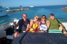 Sataya Dolphin House Snorkel Trip - Marsa Alam