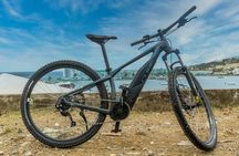 Gem of The Island Tour with E-Bike
