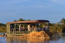 Hippo and Croc Boat Cruise in Saint Lucia with collection
