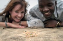 Half-Day Sandwich Harbour Tour from Walvis Bay with Lunch